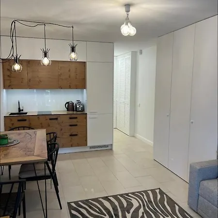 Apartment 300m To The Palanga